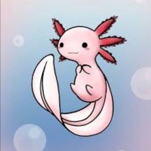 Meet your Posher, Mallory